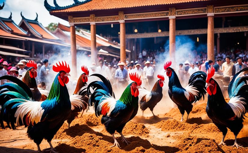 Sejarah dan Budaya Sabung Ayam di Cambodia
